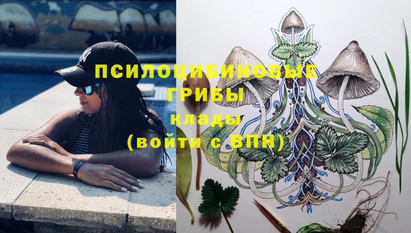 экстази Няндома