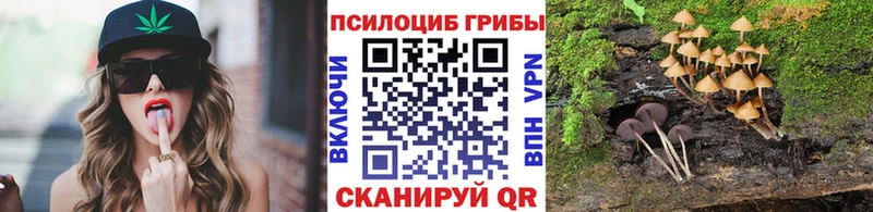 Псилоцибиновые грибы MAGIC MUSHROOMS  Купить закладки  Инсар 